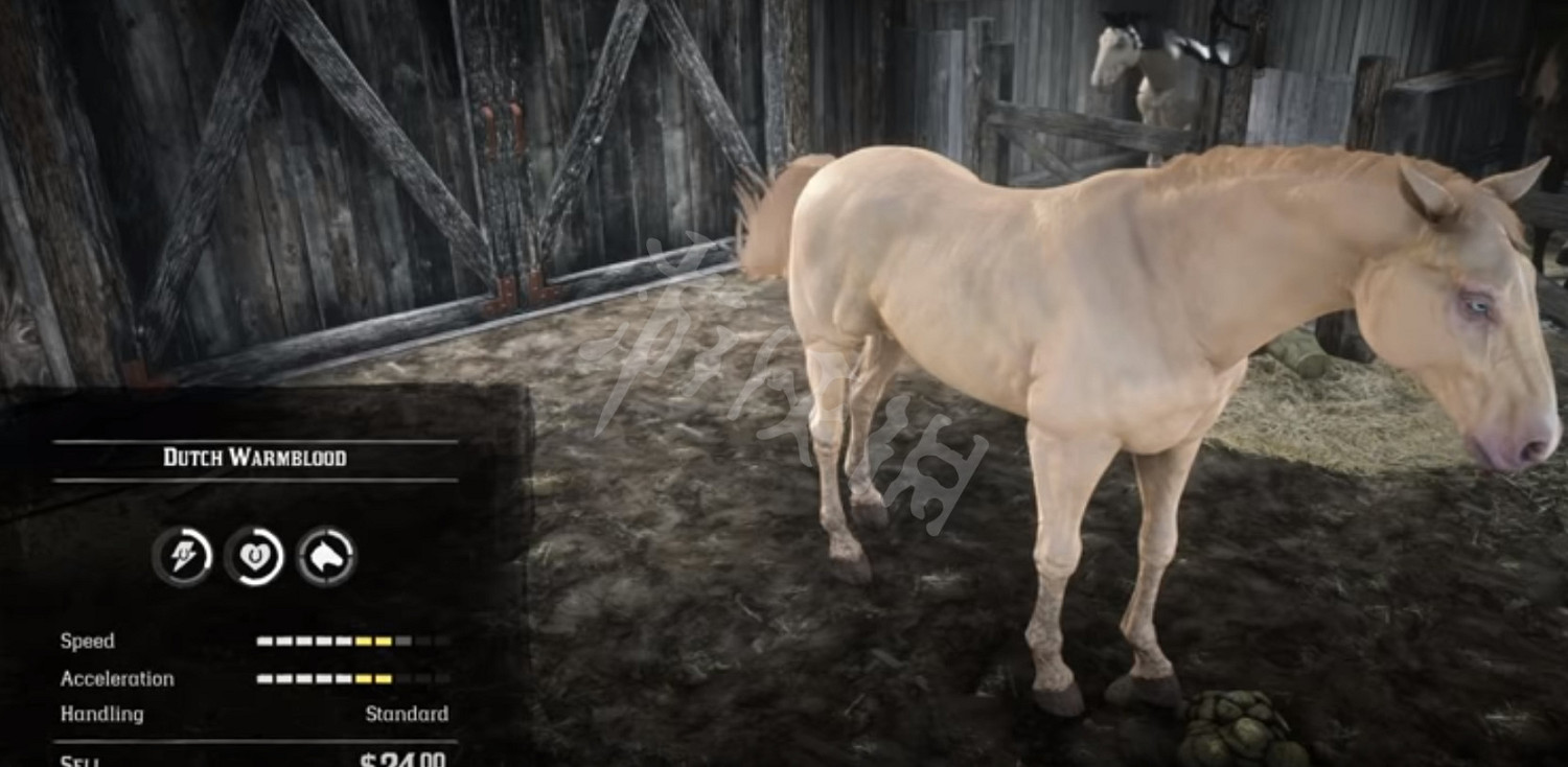 《荒野大鏢客2》荷蘭溫血馬在哪裡抓？荷蘭溫血馬位置介紹