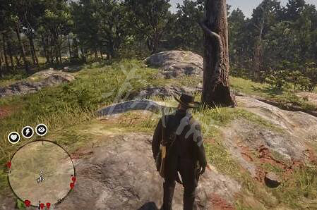 《荒野大鏢客2》藏寶圖有幾張?藏寶圖位置一覽 《荒野大鏢客2》藏寶圖有幾張?藏寶圖位置一覽