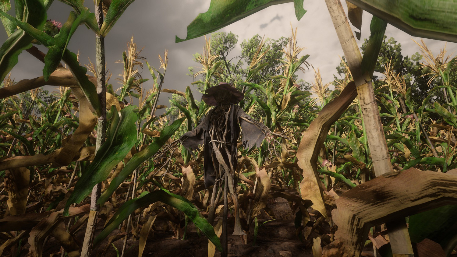 《荒野大鏢客2》稻草人草帽獲得方法介紹 稻草人草帽怎麽得