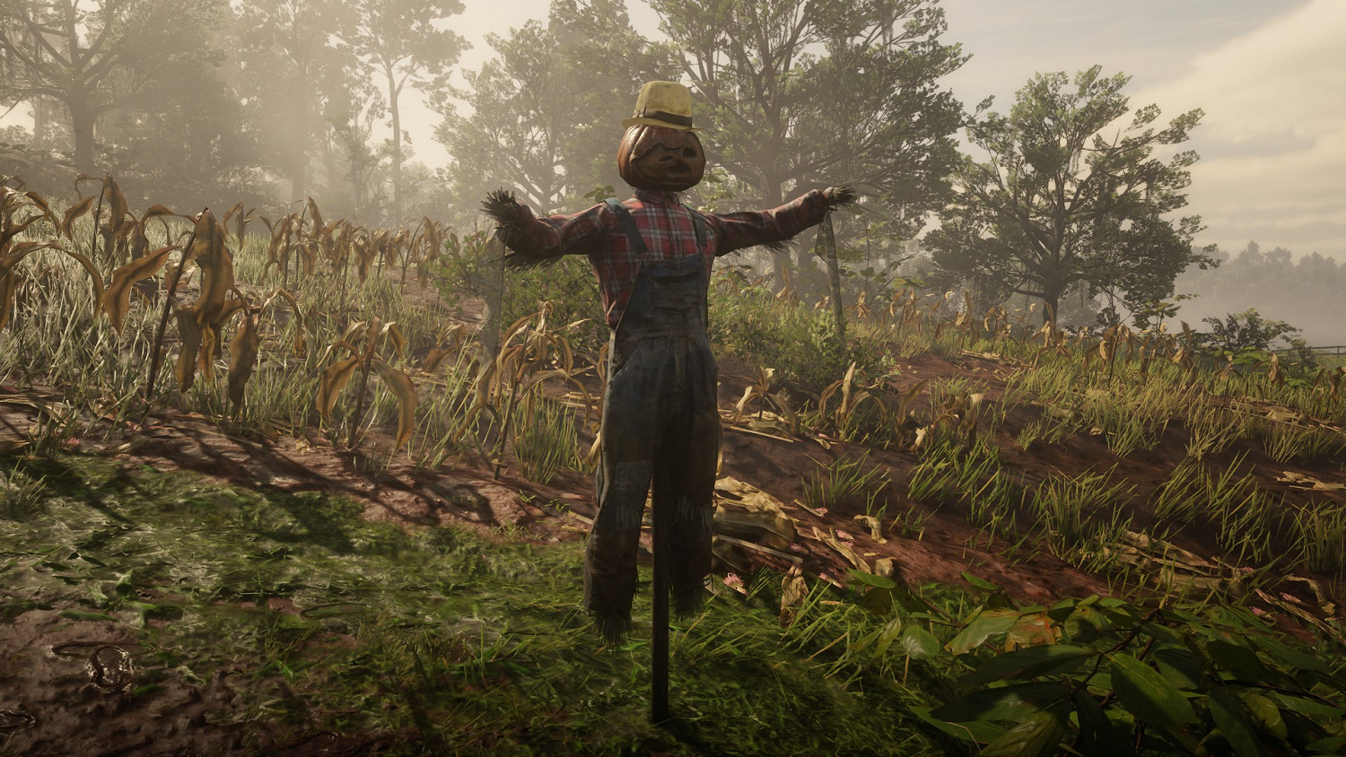 《荒野大鏢客2》稻草人禮帽怎麽獲得 稻草人禮帽獲得方法介紹