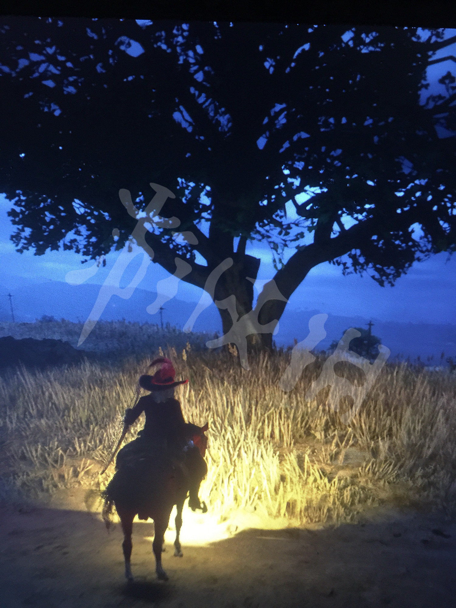 《荒野大鏢客2》西部花鼠位置圖示識 西部花鼠在哪裡？