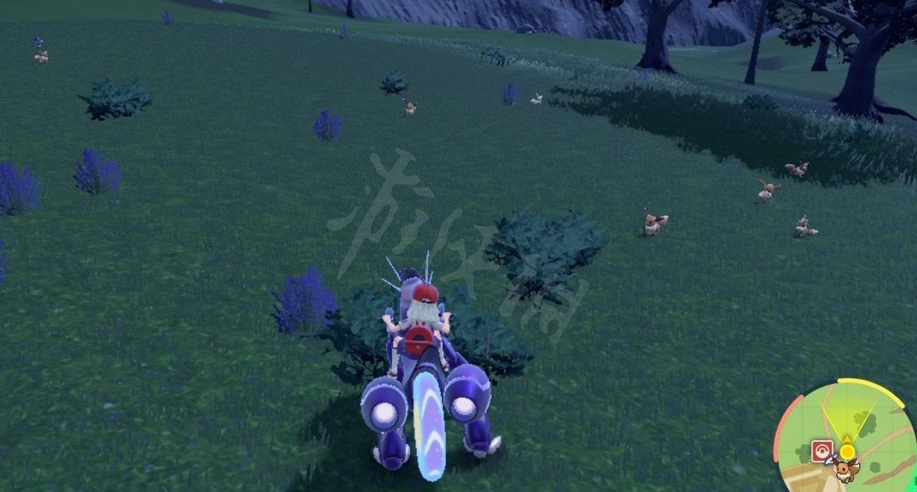 《寶可夢朱紫》閃光伊布怎麽刷?刷閃光伊布方法分享 《寶可夢朱紫》閃光伊布怎麽刷?刷閃光伊布方法分享