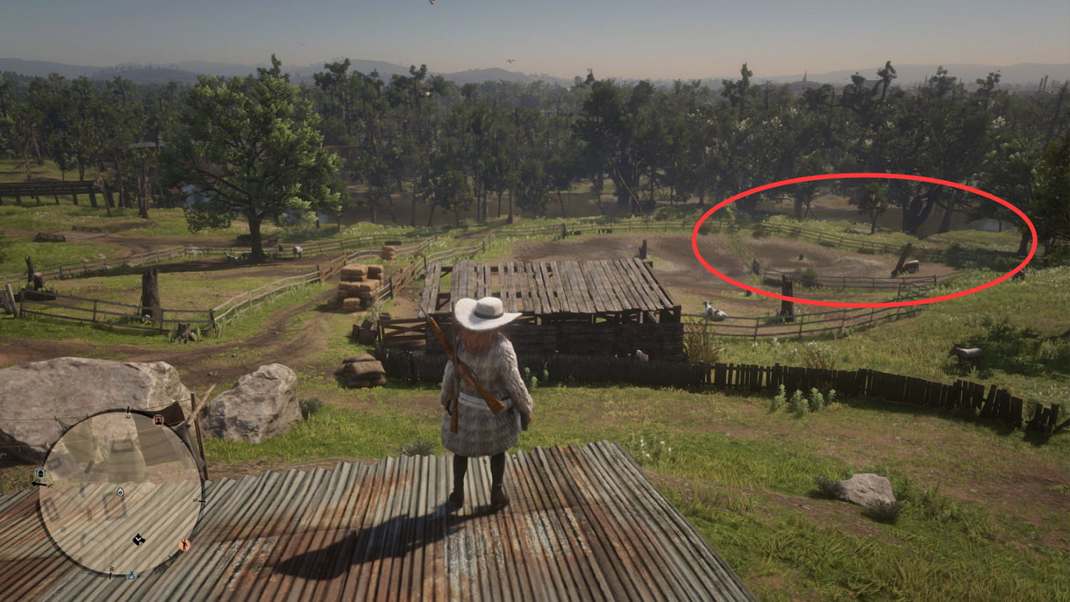 《荒野大鏢客2》安格斯公牛在哪 安格斯公牛位置一覽 《荒野大鏢客2》安格斯公牛在哪 安格斯公牛位置一覽