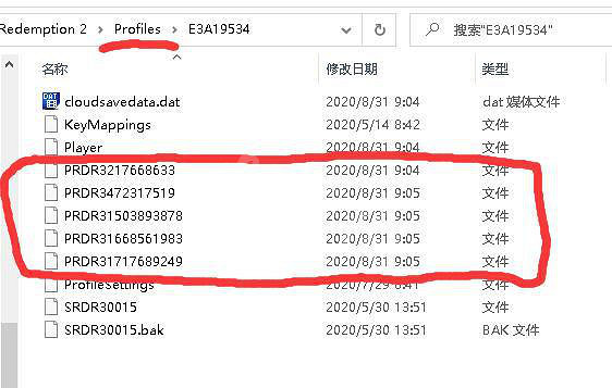 《荒野大鏢客2》照片太多怎麽辦 照片刪除方法