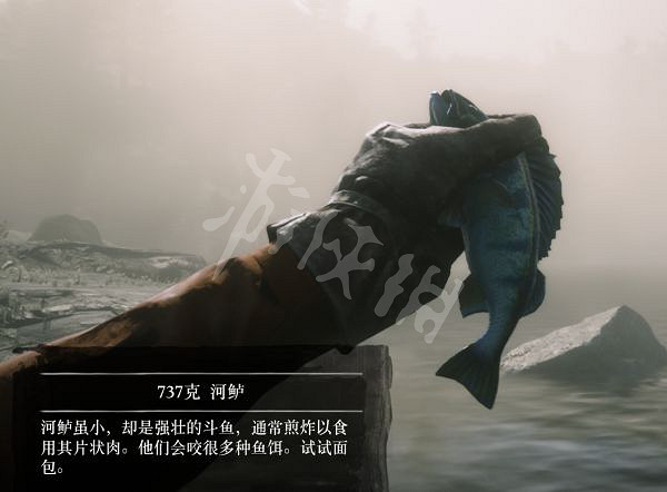 《荒野大鏢客2》有多少種普通魚？大鏢客2魚類介紹及誘餌推薦