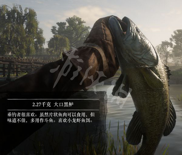 《荒野大鏢客2》有多少種普通魚？大鏢客2魚類介紹及誘餌推薦