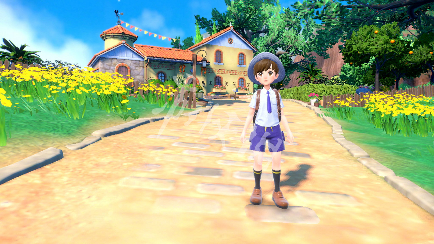 《寶可夢朱紫》一周目通關條件是什麽？一周目通關條件一覽