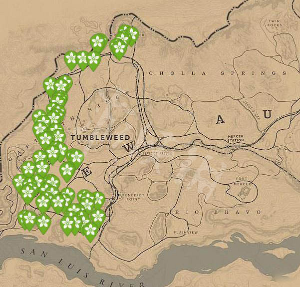 《荒野大鏢客2》1月22日每日挑戰任務介紹 納紮爾夫人位置分享