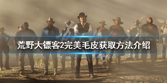《荒野大鏢客2》完美毛皮怎麽獲得 完美毛皮獲取方法介紹