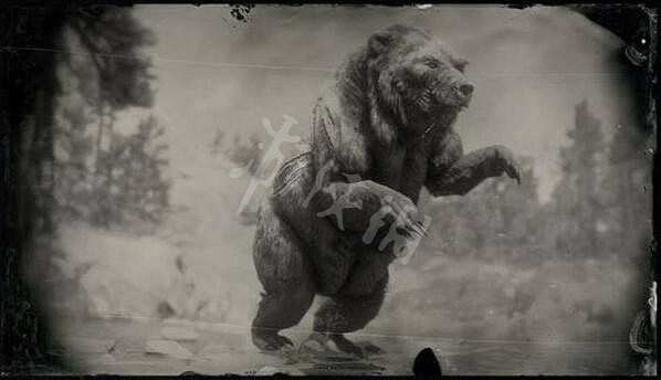 《荒野大鏢客2》傳說動物有幾只?傳說動物圖鑒一覽 《荒野大鏢客2》傳說動物有幾只?傳說動物圖鑒一覽