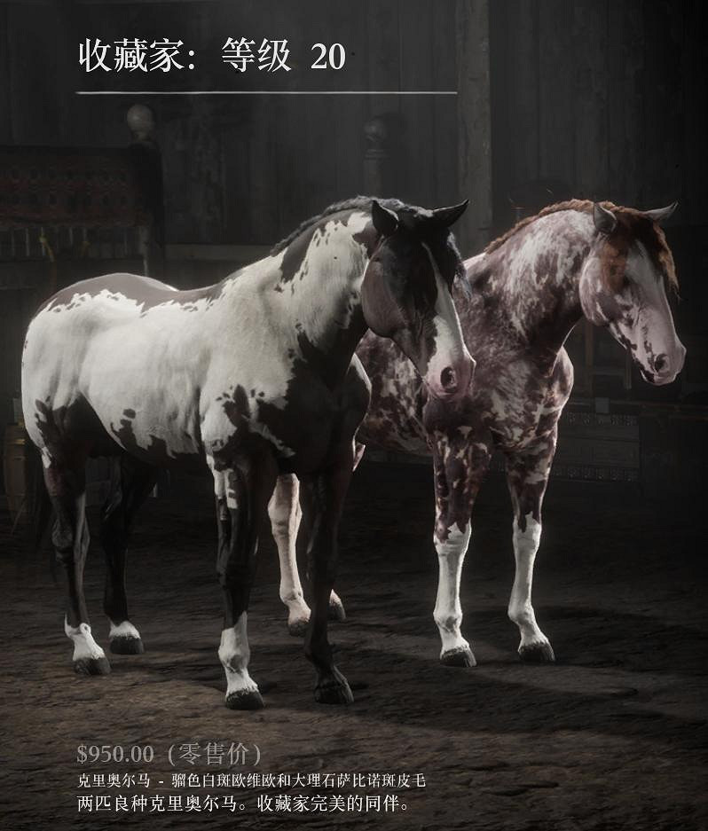 《荒野大鏢客2》收藏家技能一覽 收藏家技能有哪些