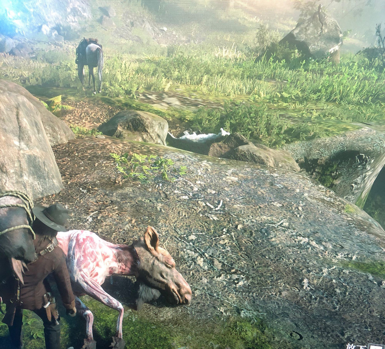 《荒野大鏢客2》公駝鹿怎麽刷 公駝鹿刷法分享