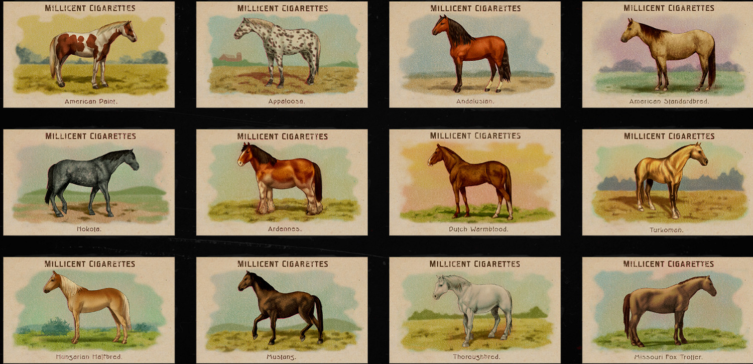 《荒野大鏢客2》香煙卡怎麽獲得 全香煙卡位置分享