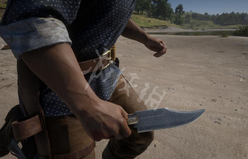 《荒野大鏢客2》幫派成員武器有哪些?幫派成員特殊武器匯總 《荒野大鏢客2》幫派成員武器有哪些?幫派成員特殊武器匯總