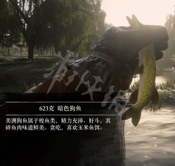 《荒野大鏢客2》有多少種普通魚？大鏢客2魚類介紹及誘餌推薦