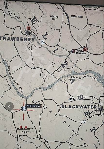 《荒野大鏢客2》1月22日每日挑戰任務介紹 納紮爾夫人位置分享