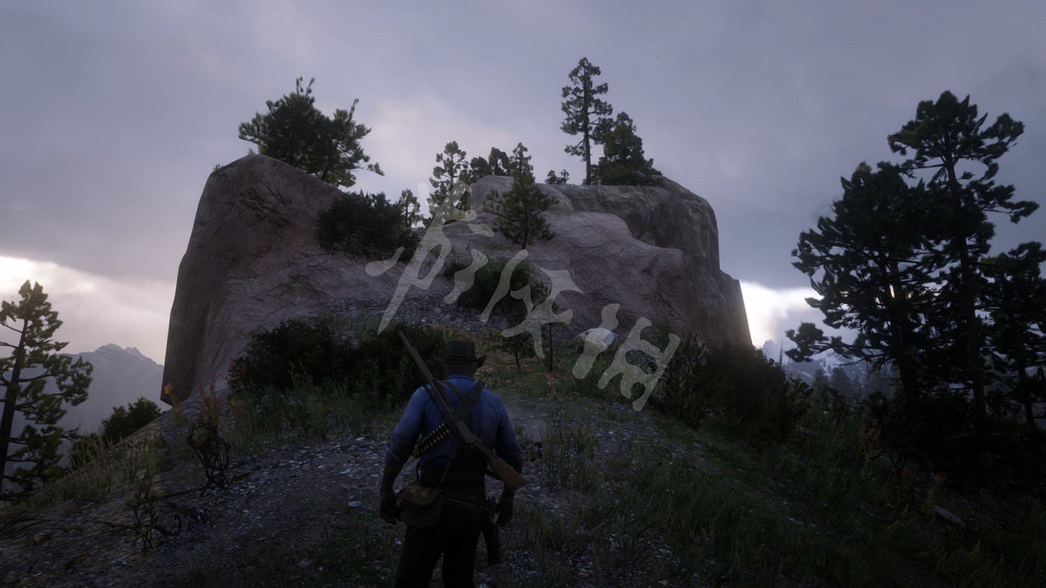 《荒野大鏢客2》傑克霍爾幫的寶藏在哪 傑克霍爾幫的寶藏位置介紹