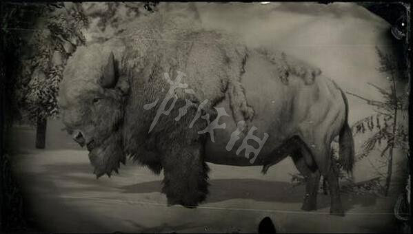 《荒野大鏢客2》傳說動物有幾只?傳說動物圖鑒一覽 《荒野大鏢客2》傳說動物有幾只?傳說動物圖鑒一覽