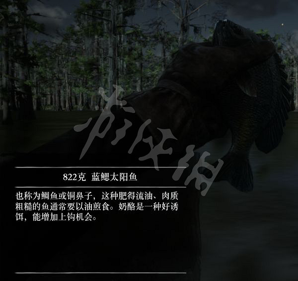 《荒野大鏢客2》有多少種普通魚？大鏢客2魚類介紹及誘餌推薦