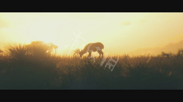 《荒野大鏢客2》圖文攻略:主線流程+支線任務+槍械系統+服裝系統+戰鬥系統+狩獵系統+馬匹系統+地圖資源+榮譽系統+介面介紹+上手操作 《荒野大鏢客2》圖文攻略:主線流程+支線任務+槍械系統+服裝系統+戰鬥系統+狩獵系統+馬匹系統+地圖資源+榮譽系統+介面介紹+上手操作