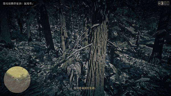 《荒野大鏢客2》博學家怎麽玩？博學家職業玩法介紹