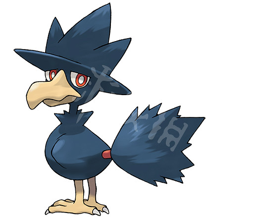 《寶可夢朱紫》黑暗鴉怎麽搭配？雙打黑暗鴉配置推薦分享