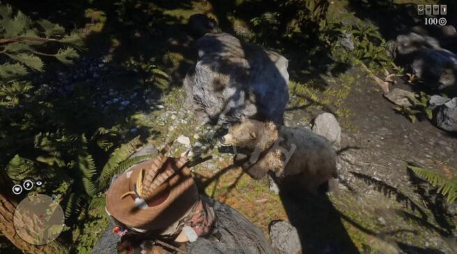 《荒野大鏢客2》蓋斯收集任務怎麽做？蓋斯收集任務狩獵位置推薦