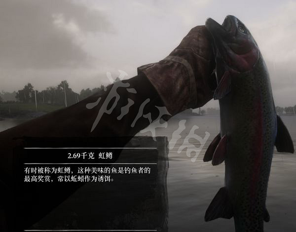 《荒野大鏢客2》有多少種普通魚？大鏢客2魚類介紹及誘餌推薦