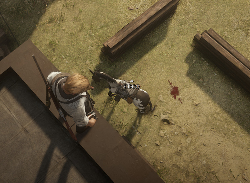 《荒野大鏢客2》2月29日挑戰任務介紹 2月29日每日挑戰攻略 《荒野大鏢客2》2月29日挑戰任務介紹 2月29日每日挑戰攻略