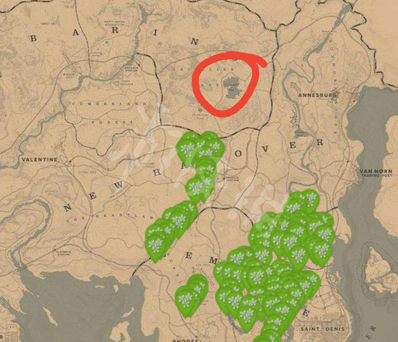 《荒野大鏢客2》5月9日每日任務介紹 5月9日納紮爾夫人在哪