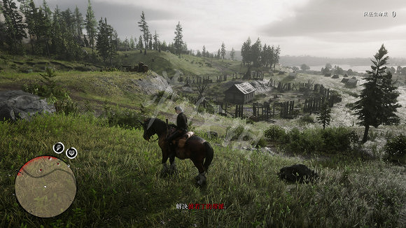 《荒野大鏢客2》育空尼科抓捕攻略詳解 育空怎麽抓捕？