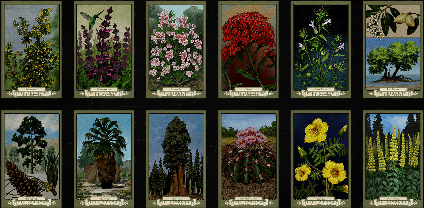 《荒野大鏢客2》香煙卡怎麽獲得 全香煙卡位置分享