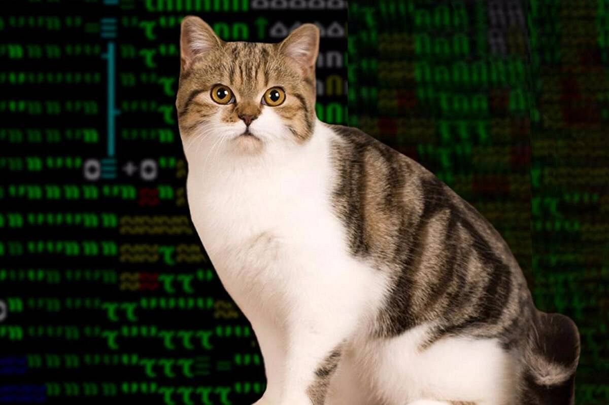 一款免費了20年的遊戲,卻讓無數玩家搶著出錢補票 一款免費了20年的遊戲,卻讓無數玩家搶著出錢補票