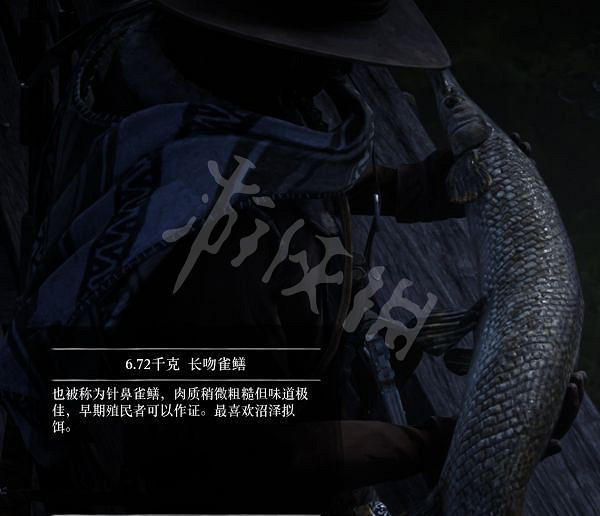 《荒野大鏢客2》有多少種普通魚？大鏢客2魚類介紹及誘餌推薦