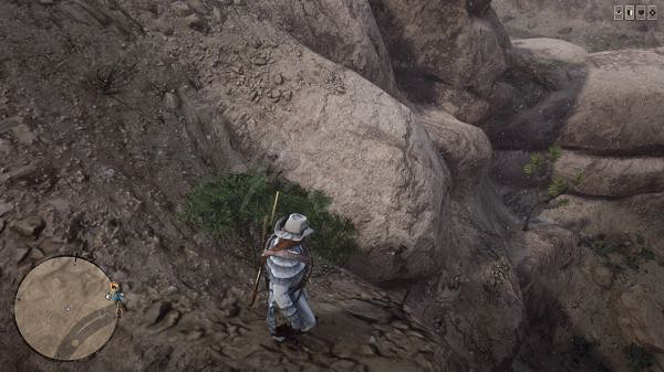 《荒野大鏢客2》收藏家該怎麽玩？收藏家玩法推薦