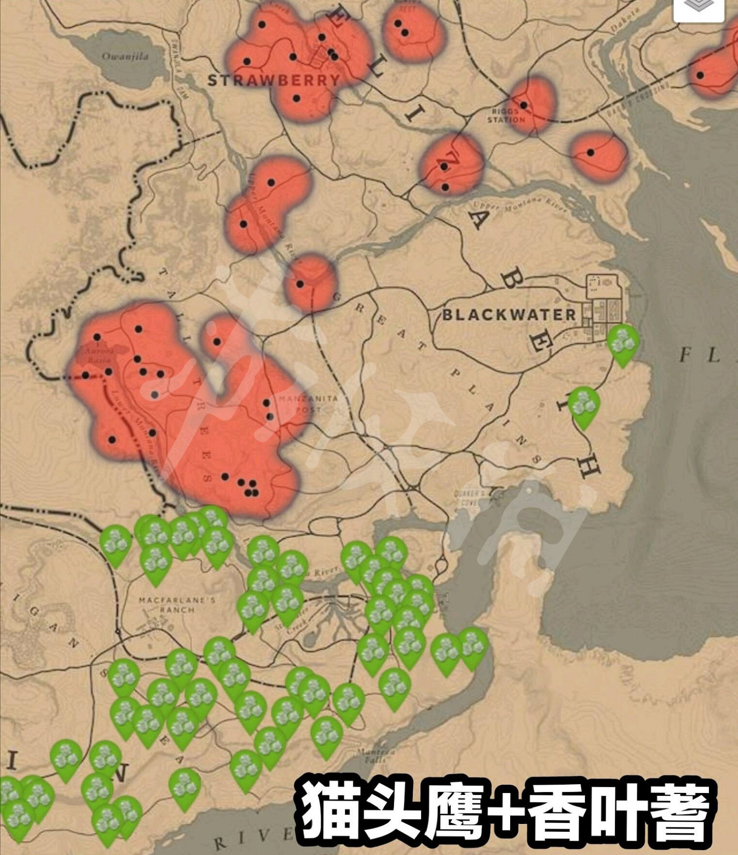 《荒野大鏢客2》5月26日每日任務玩法介紹 5月26日納紮爾夫人在哪