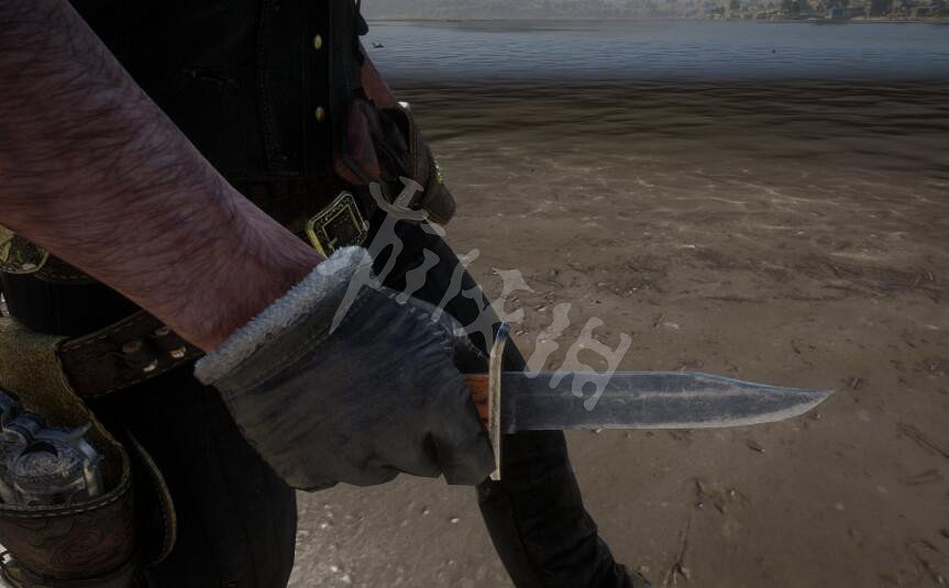 《荒野大鏢客2》幫派成員武器有哪些?幫派成員特殊武器匯總 《荒野大鏢客2》幫派成員武器有哪些?幫派成員特殊武器匯總