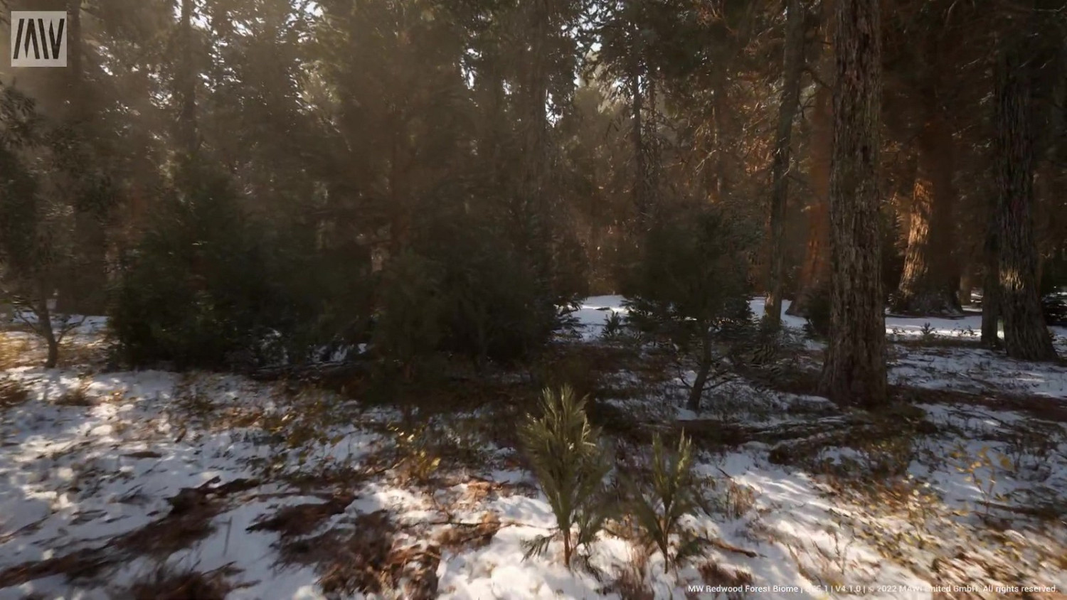 虛幻5.1 Nanite紅木森林技術展示檔案提供下載