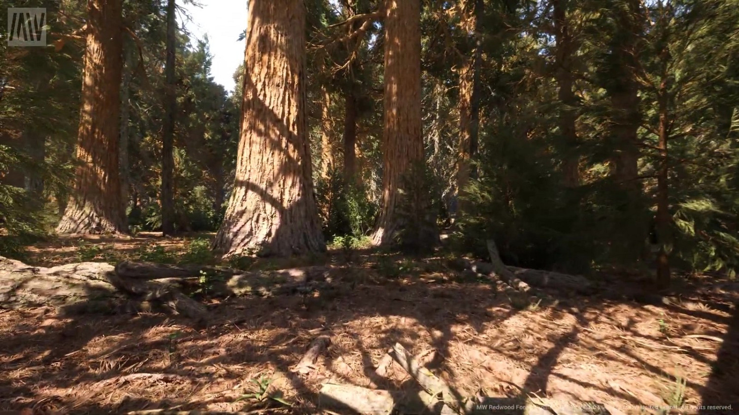 虛幻5.1 Nanite紅木森林技術展示檔案提供下載