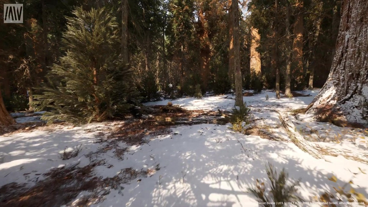 虛幻5.1 Nanite紅木森林技術展示檔案提供下載