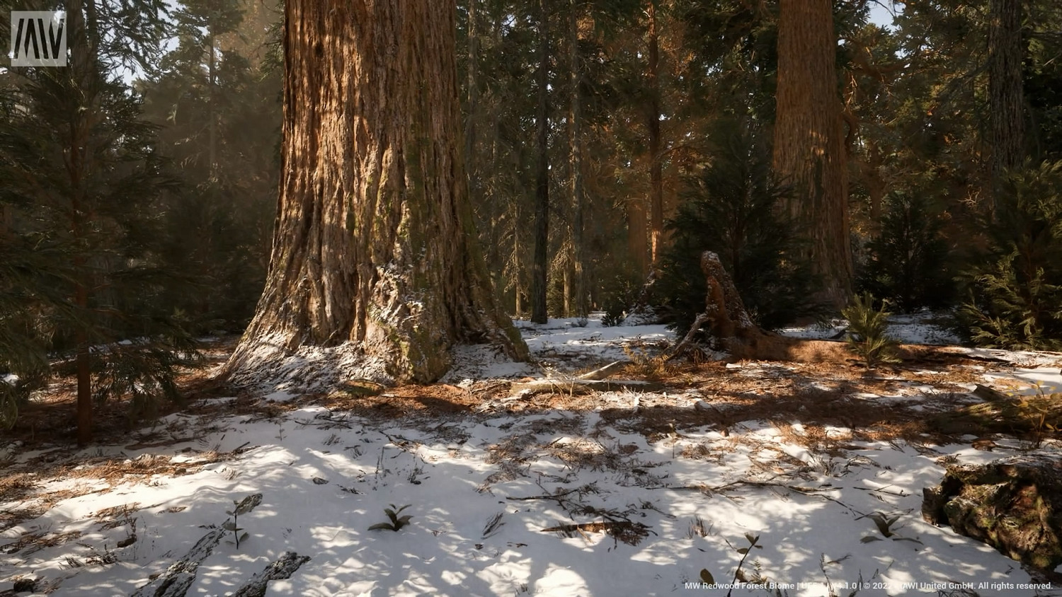 虛幻引擎5.1技術展示Demo「紅杉森林」！下載地址發布