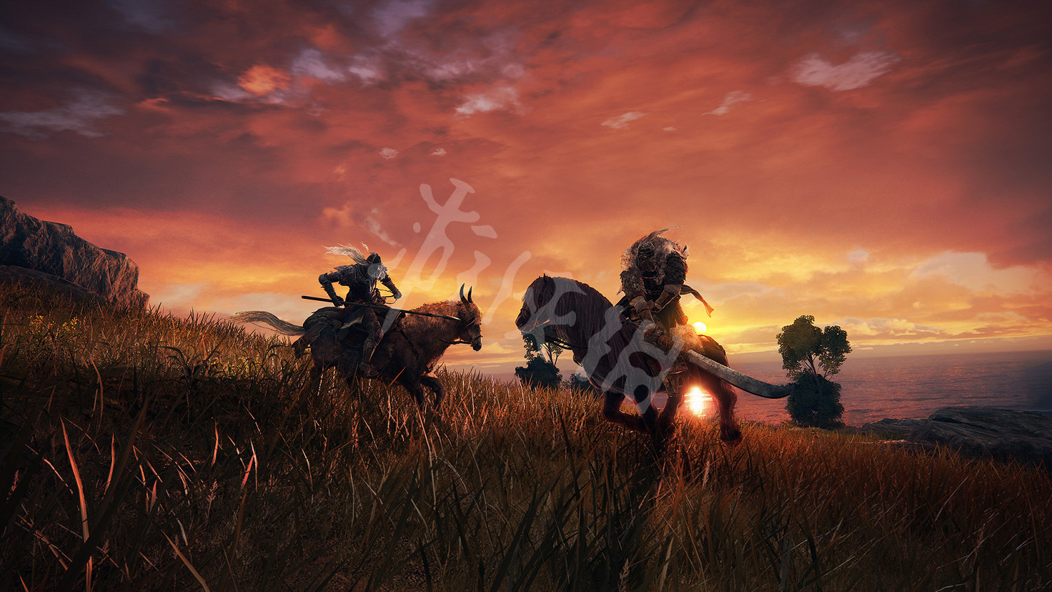 《艾爾登法環》競技場在哪裡？遊戲競技場介紹