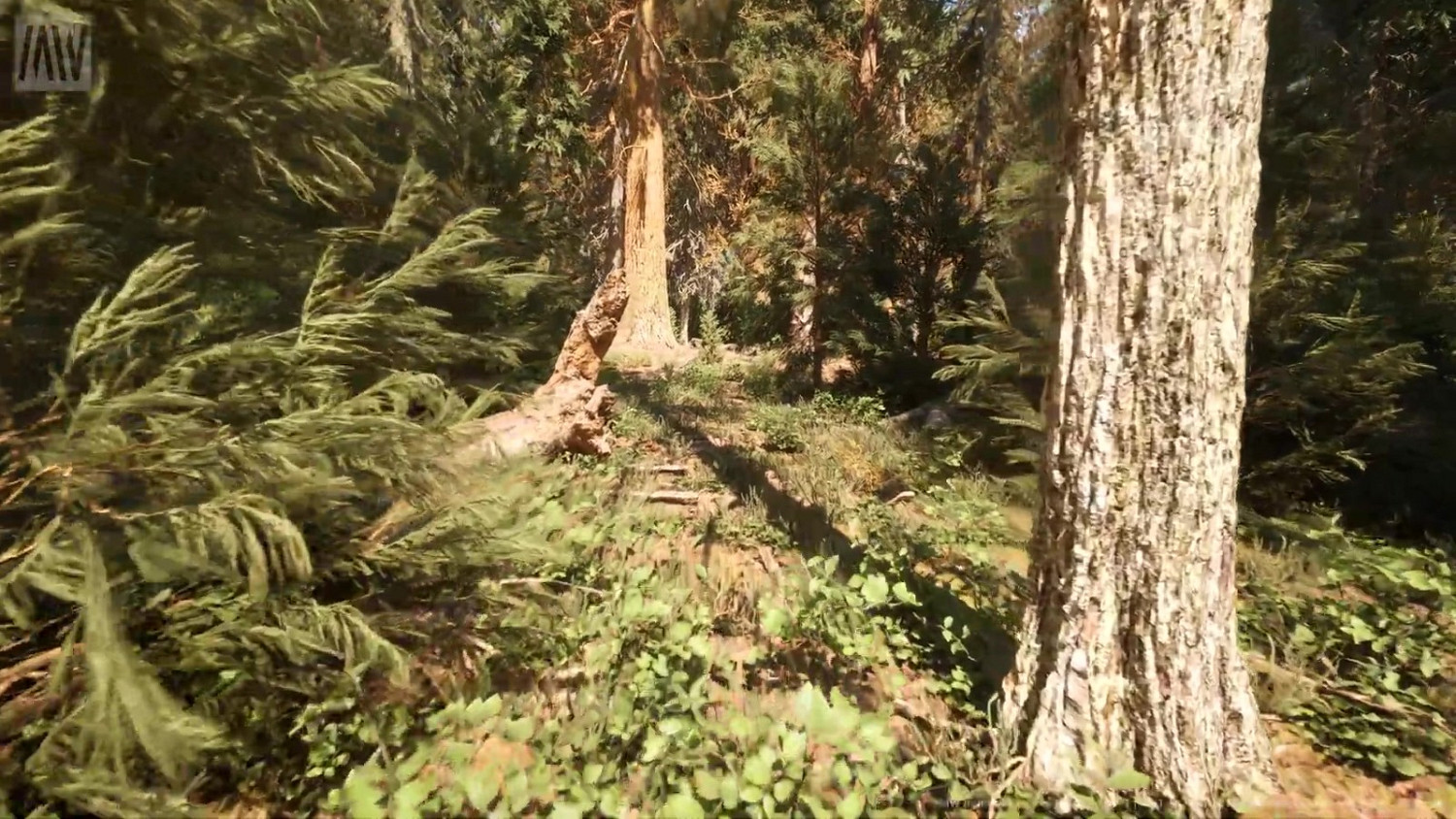 虛幻5.1 Nanite紅木森林技術展示檔案提供下載