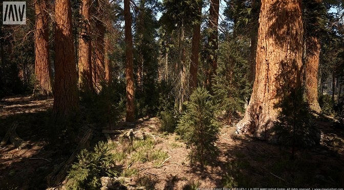 虛幻5.1 Nanite紅木森林技術展示檔案提供下載