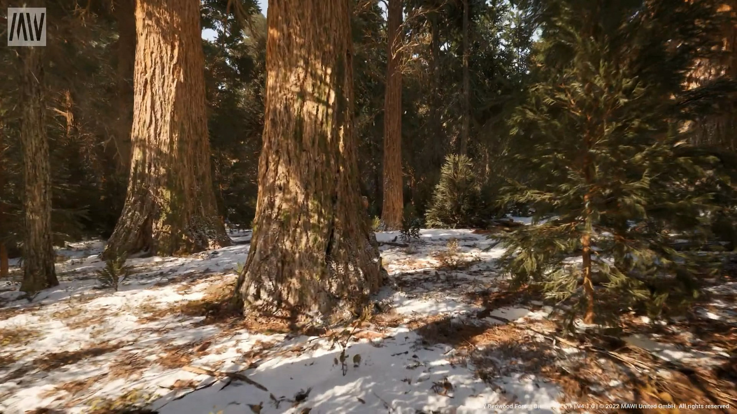 虛幻引擎5.1技術展示Demo「紅杉森林」！下載地址發布