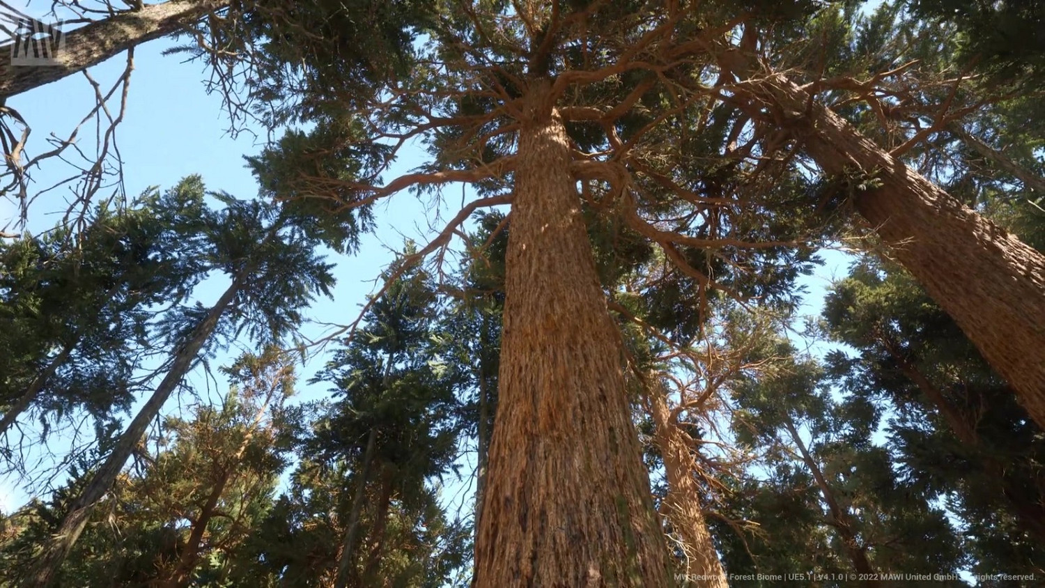 虛幻5.1 Nanite紅木森林技術展示檔案提供下載