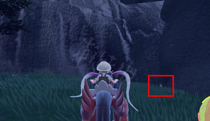 《寶可夢朱紫》挺住招式學習機在哪？挺住學習機位置分享