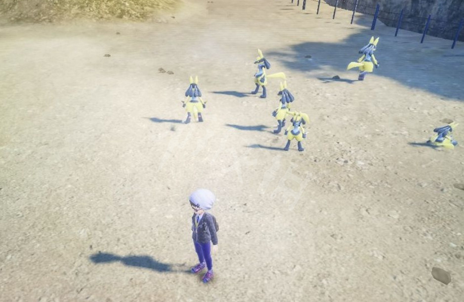 《寶可夢朱紫》閃光路卡利歐在哪捕捉？閃光路卡利歐捕捉地點分享