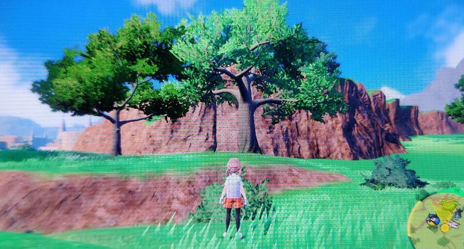 《寶可夢朱紫》懶人獺在哪刷？刷懶人獺位置分享