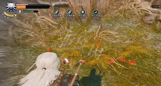 《巫師3次世代版》林中夫人任務流程 林中夫人任務攻略